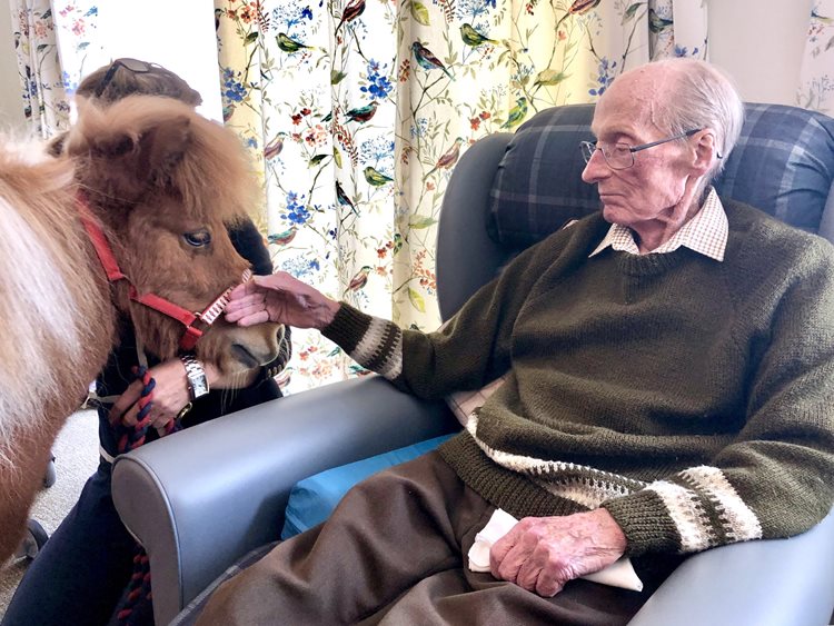 Harrier Lodge saddles up for pony visit